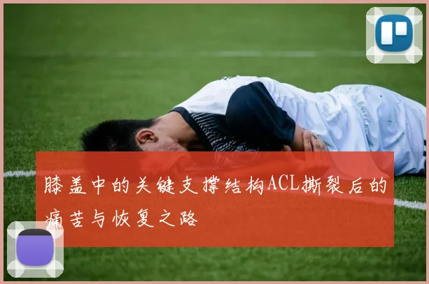 膝盖中的关键支撑结构ACL撕裂后的痛苦与恢复之路